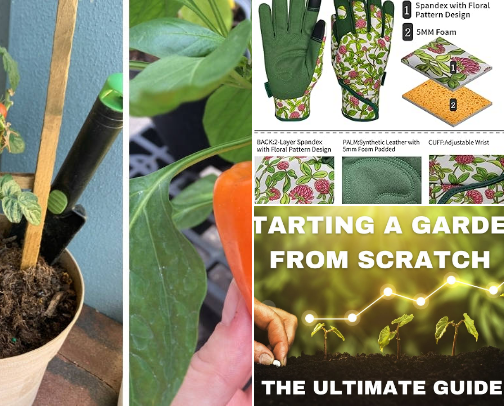 Easy Ways to Start a Garden cover photo collage