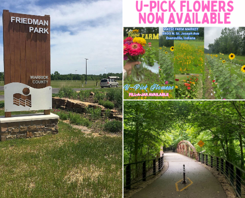 📍 Local Favorites cover photo collage