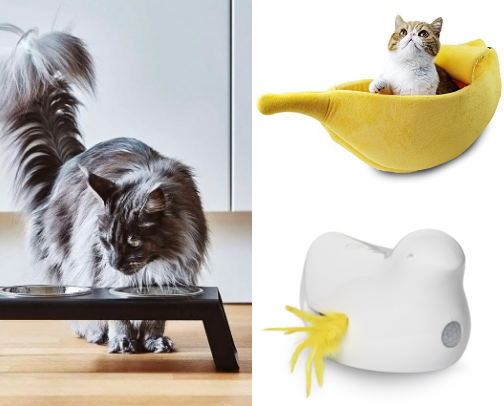 FELINE FAVORITES cover photo collage