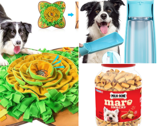 Spoil Your Pup Must-Haves cover photo collage