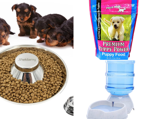 🐾 Essentials for New Pups: Must-Haves for Your Furry Friend 🐾 cover photo collage