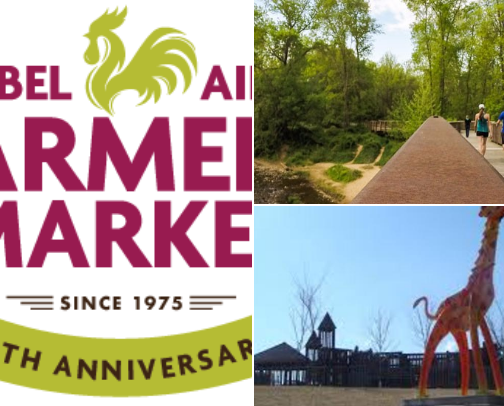 Recommendations for food,drinks activities, cover photo collage