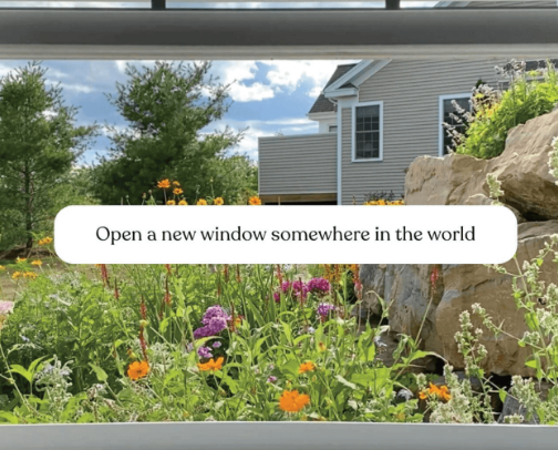 Little Websites That Make the Internet More Fun cover photo collage