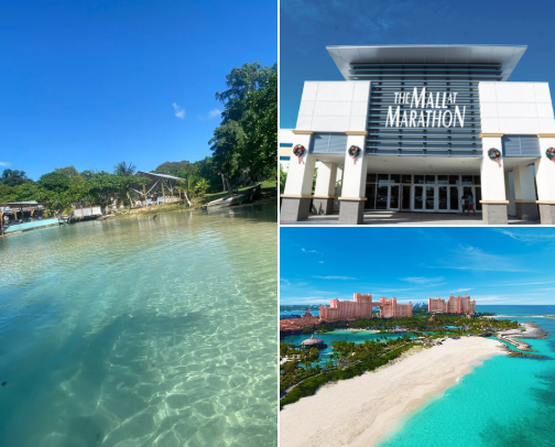 My top local recs cover photo collage