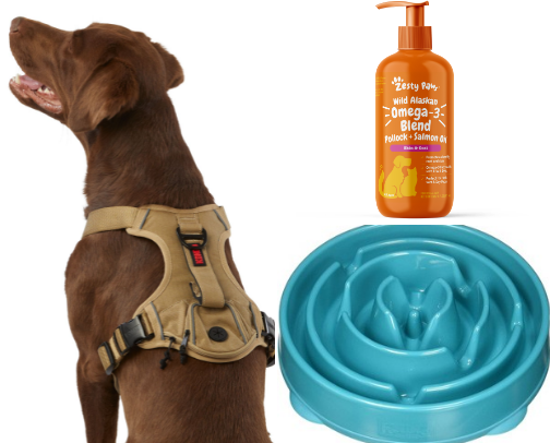 Must haves for the pups! 🐶 cover photo collage