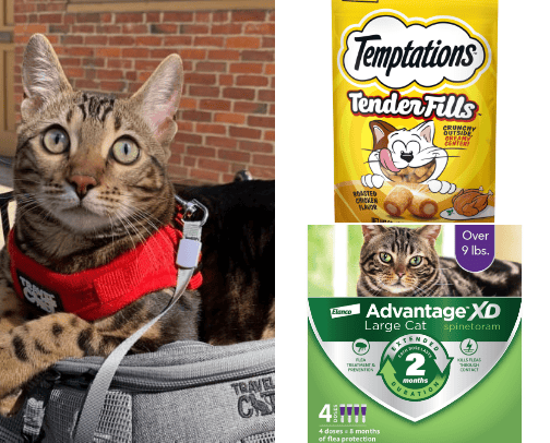 Essentials for Pet Owners cover photo collage