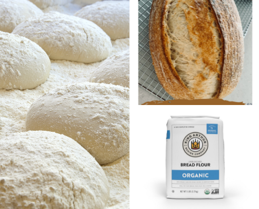 Sexy Sourdough cover photo collage