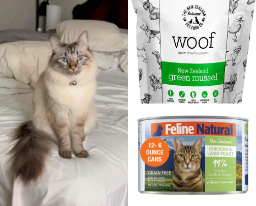 Cat Care cover photo collage
