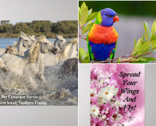 Posters & Prints – Art for Every Style cover photo collage