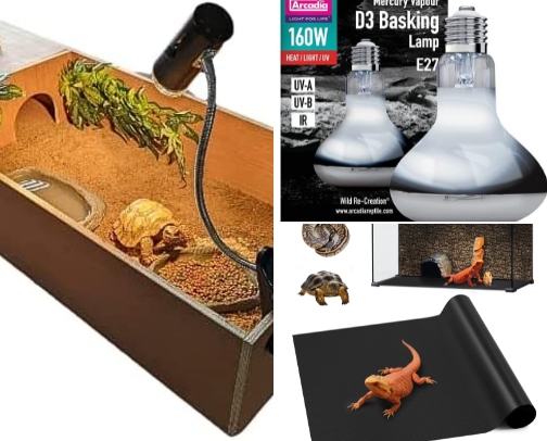 My Go-To Tortoise Essentials for a Happy, Healthy Setup 🐢 cover photo collage