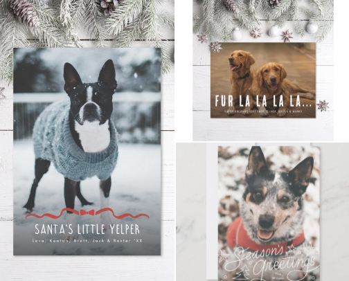 Holiday cards featuring your furry family member cover photo collage