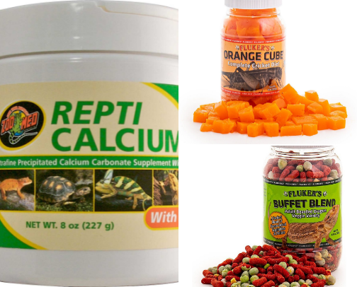 Reptile Needs cover photo collage