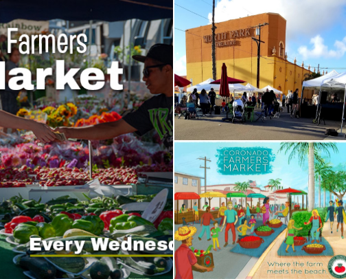 things to do in San Diego cover photo collage