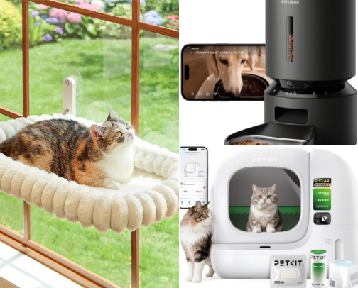 Cozy Cat Essentials for A Happy Home 🐈 cover photo collage