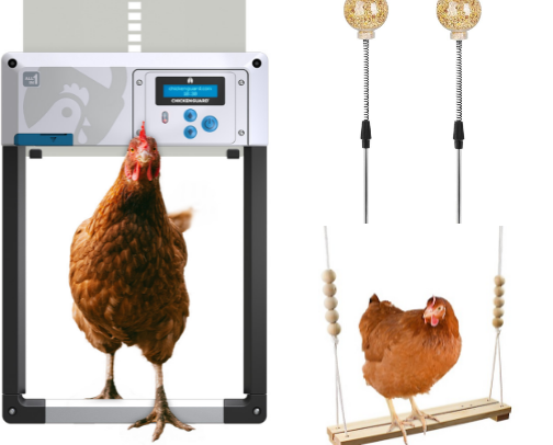 Why did the chicken cross the road?🐓 cover photo collage