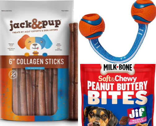 Dogs Needs and Essentials cover photo collage
