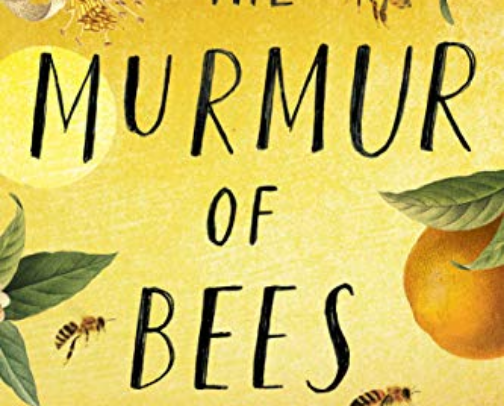 My Favorite Book Recs cover photo collage