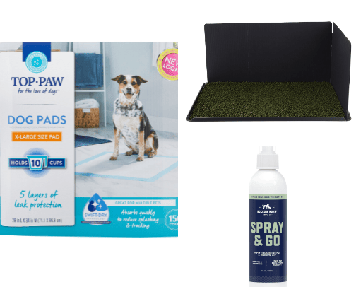 Dog Potty Training Housebreaking cover photo collage