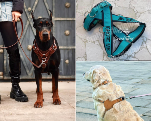 How I Turned My Reactive Dog Into One Who Actually Enjoys Walks cover photo collage