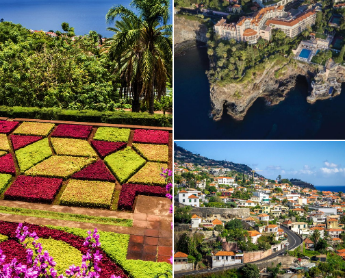 Madeira | European Hawaii🏄🌴 cover photo collage
