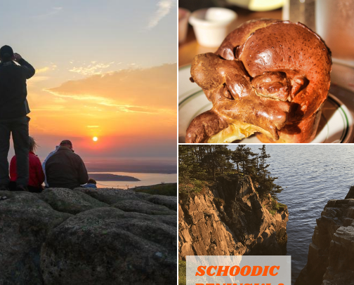 🍁 🎃All Things Fall: Foliage, Flannels & Flavorful Finds cover photo collage