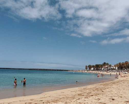 Book Worm cover photo collage