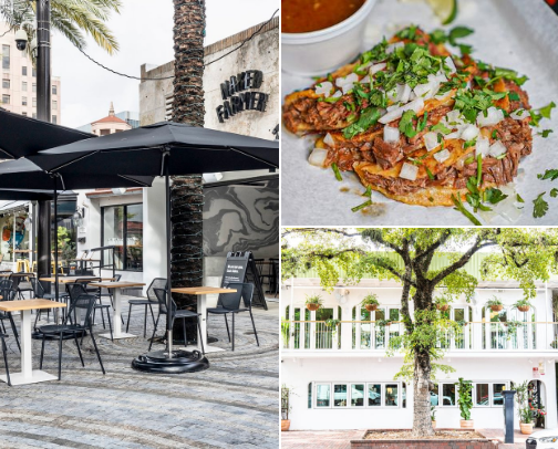 Gluten Free Food Recs in Miami Florida ☀️ cover photo collage