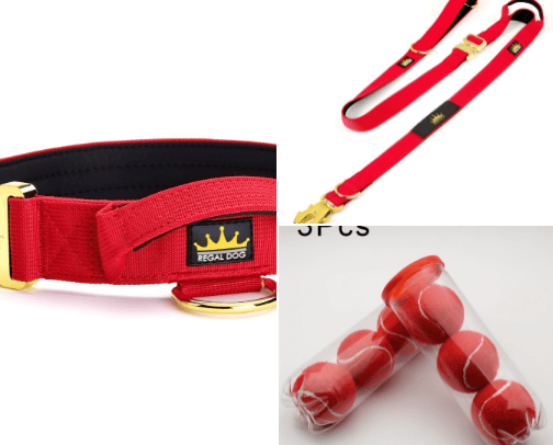 Products I Love & Use When Walking The Dog cover photo collage
