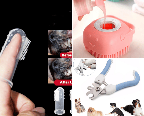 Life with a dog cover photo collage