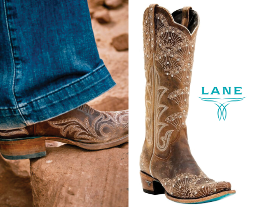 Rodeo Fit Check cover photo collage