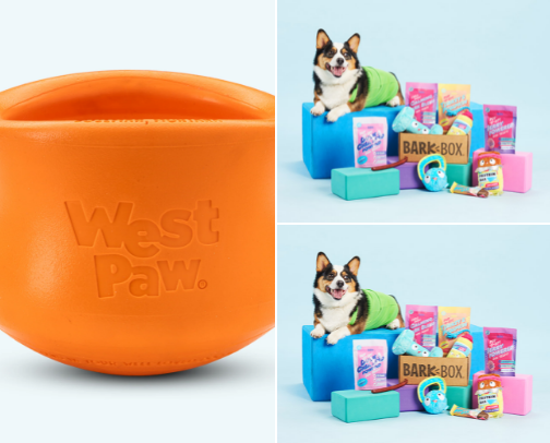 For my Fur babies cover photo collage