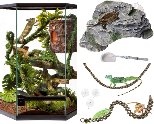 Crested Gecko Tank SetUp! cover photo collage