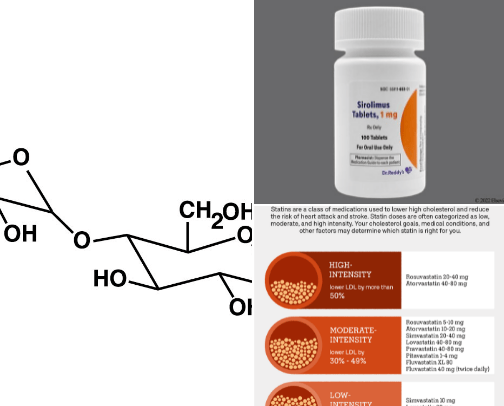 Longevity List cover photo collage