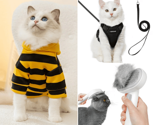 All about cats cover photo collage