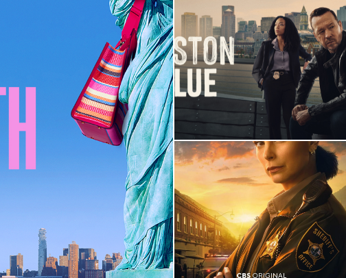 Binge Worthy Detective/Cop shows cover photo collage