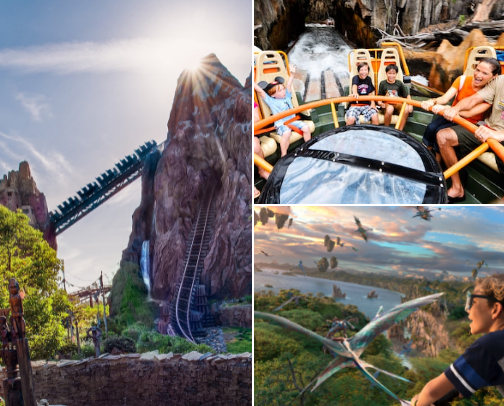 Disney Animal Kingdom recs cover photo collage