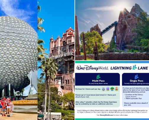 Disney Animal Kingdom recs cover photo collage