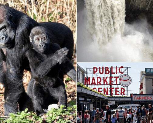 Spots to see in Washington cover photo collage