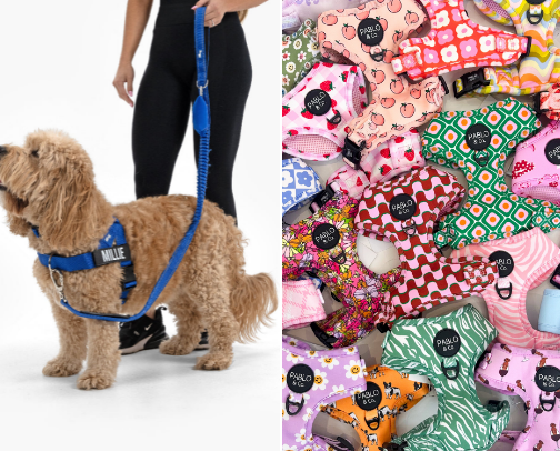 For the pups 🐾 cover photo collage