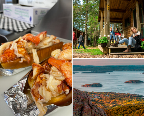 Forever dreaming about Bar Harbor 🦞🫐🌊🍁 cover photo collage