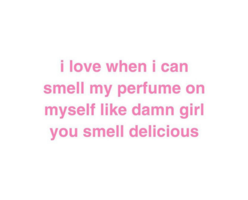 perfumes that will stay rent free in their head cover photo collage