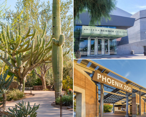 Phoenix, AZ 🌵☀️ cover photo collage