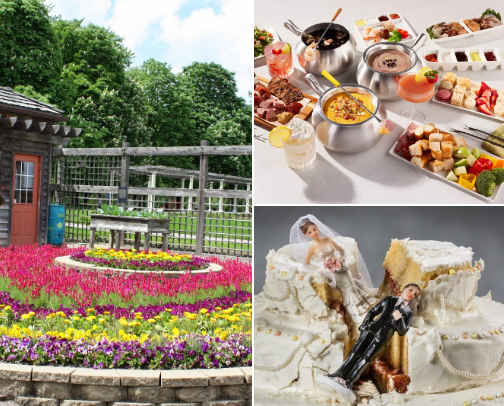 Fun Places in the Chicago Suburbs🌅 cover photo collage