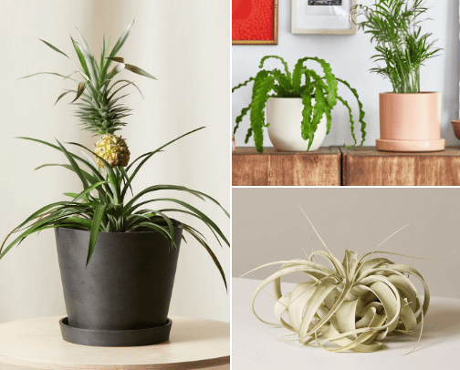 Home and Garden cover photo collage