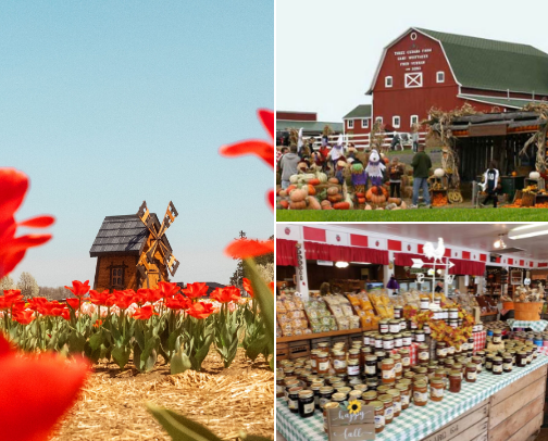 Metro Detroit Cider Mills with the Best Play Areas cover photo collage