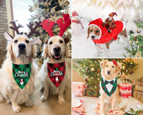 Holiday Pet Gifts cover photo collage