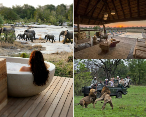 Sabi Sands Lodges & Stays cover photo collage