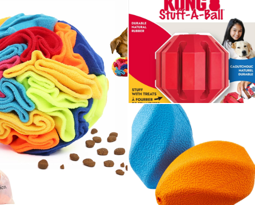 Enrichment to help your sanity cover photo collage
