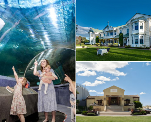 Napier New Zealand-Must Visit and Things to Do! cover photo collage