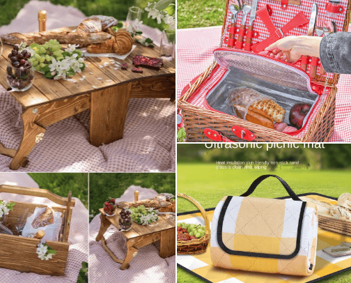 Picnic date essentials cover photo collage